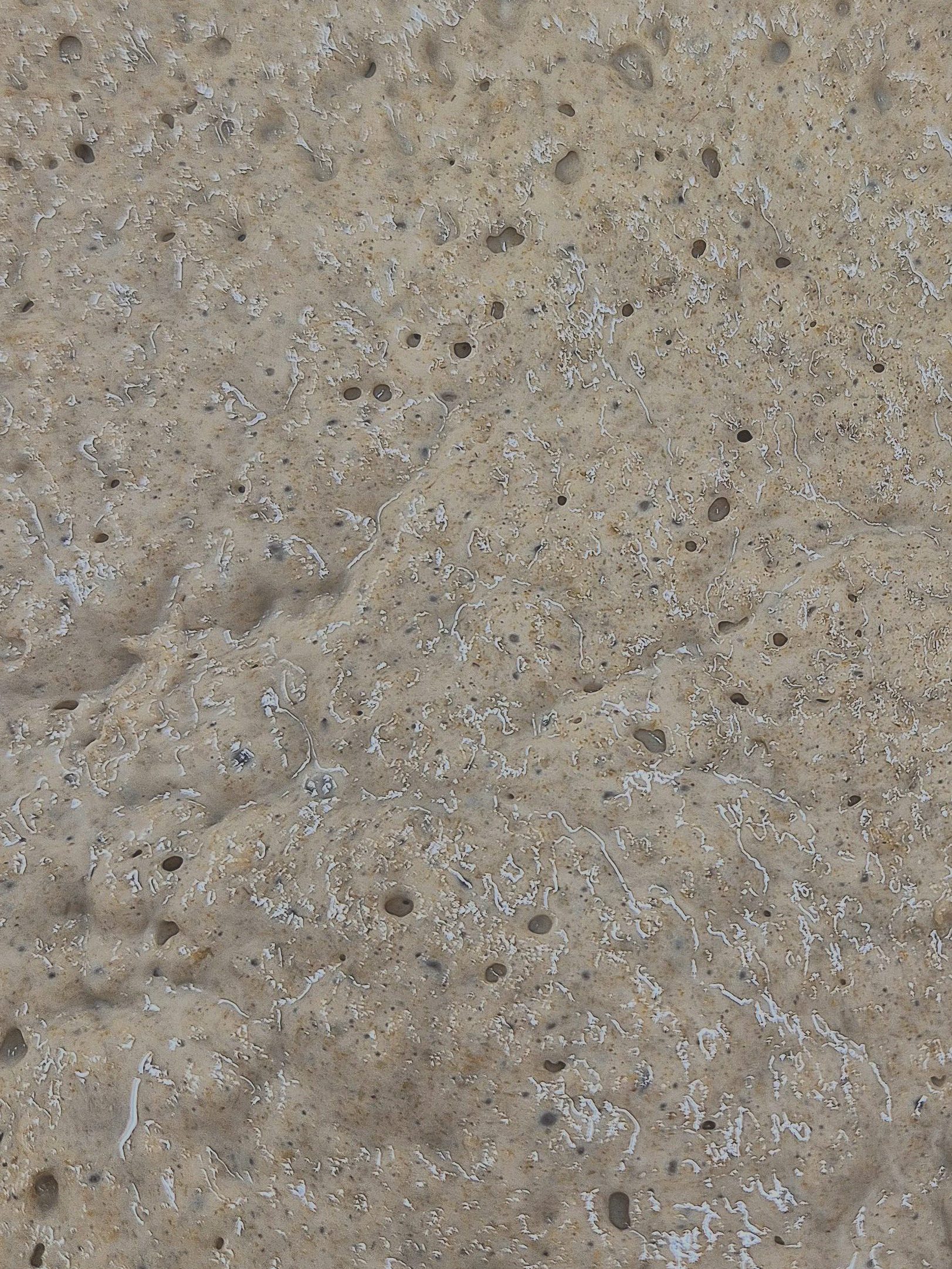 Nous prenons le temps de faire notre pain grâce au levain naturel, biologique. Le levain est un ferment naturel, plein de bon nutriments et de bienfaits naturels.